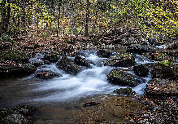 Fall Wall Art featuring the photograph Macedonia Brook In The Fall by Dave King