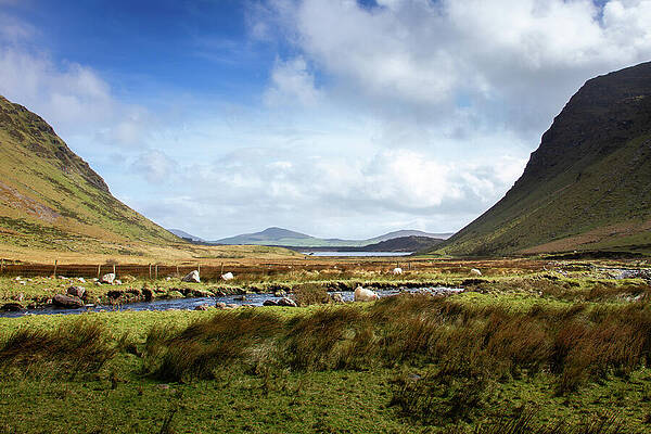 Landscape Photograph - Macha Na Bo I by Mark Callanan