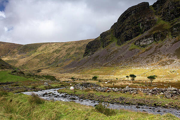 Landscape Photograph - Macha Na Bo II by Mark Callanan