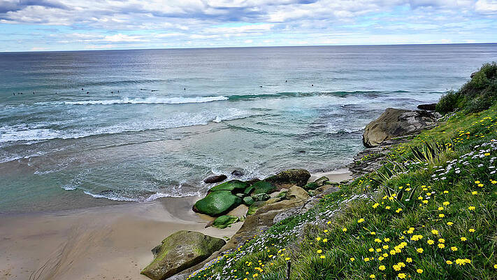 Beach Photograph - Tamarama Beach And Surfers Australia by Waterdancer