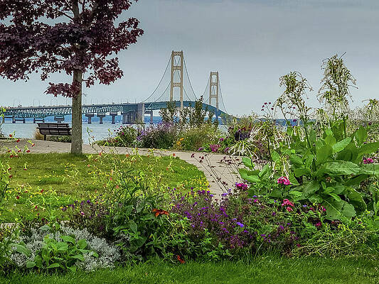 Flower Photograph - Mackinac Bridge From St. Ignace, Michigan by Deb Beausoleil