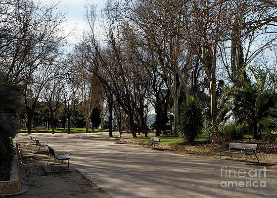 Serene Wall Art featuring the photograph Madrid Spain 23 by William Norton