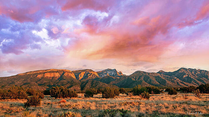Sky Wall Art featuring the photograph Magenta Skies Over The Sandias by Howard Holley