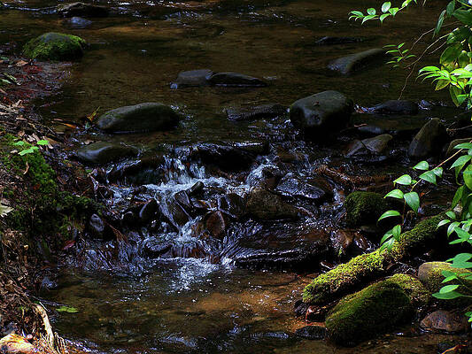North Carolina Wall Art featuring the photograph Maggie Valley Stream 01 by Flees Photos