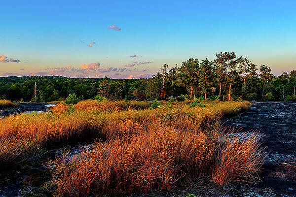 Atlanta Wall Art featuring the photograph Magic Hour On Arabia Mountain by Anthony Hightower