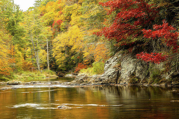Wall Art featuring the photograph Magical Autumn by Dodie Ross