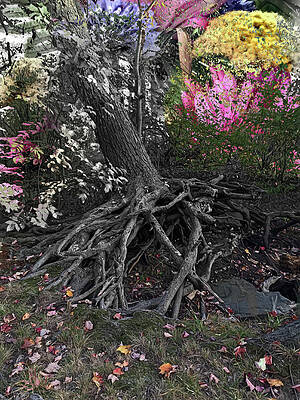 Wall Art featuring the photograph Magical Forest by Carol Whaley Addassi
