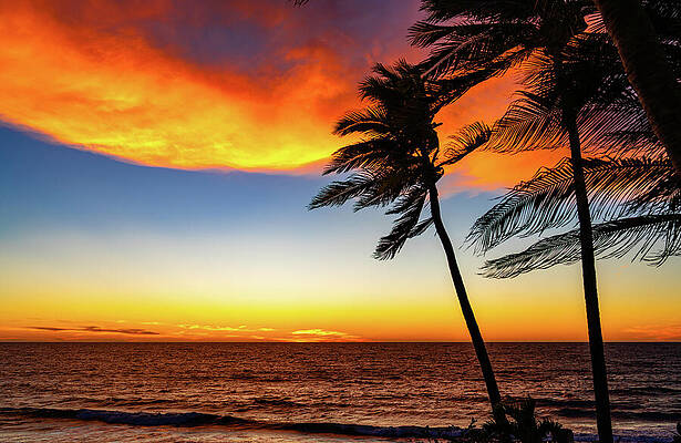 Nature Wall Art featuring the photograph Magical Mazatlan Sunset by Tommy Farnsworth