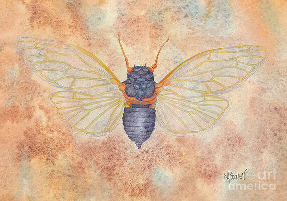 Wall Art featuring the painting Magicicada by Marie Stone-van Vuuren