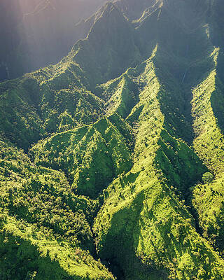 Wall Art featuring the photograph Magnificent Green by Slow Fuse Photography