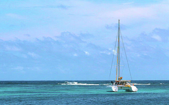 Photograph - Maho Bay Catamaran - St. Maarten by Ron Berezuk
