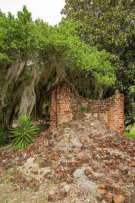 Wall Art featuring the photograph Main House Remains At Middleton Place Plantation by Cindy Robinson