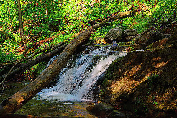 Waterfall Photograph - Main Waterfall Of Dunnfield Creek Spring Green by Raymond Salani III