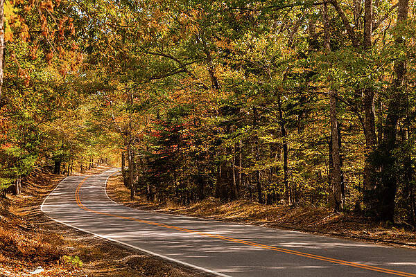 Fall Photograph - Maine Road In Autumn by Craig A Walker