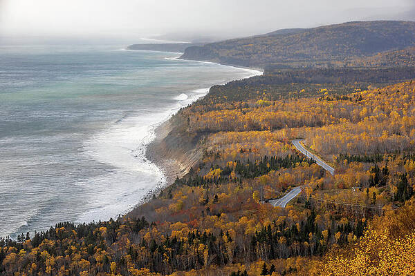 Autumn Coastline with Serene Ocean Wall Art