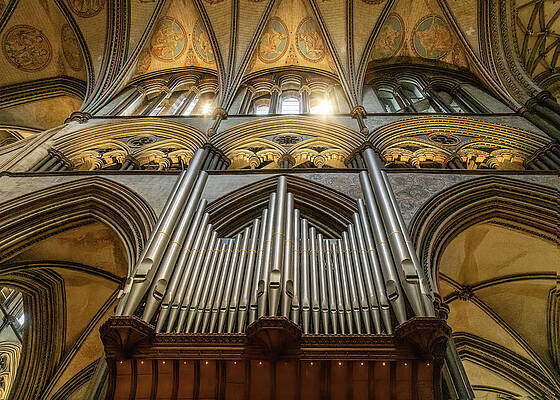Majestic Cathedral Organ and Arches Wall Art