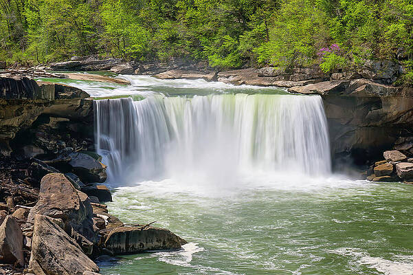 Majestic Cumberland Falls by Michael Collins