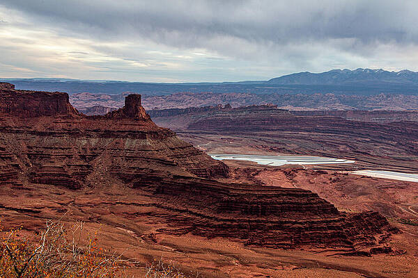 Majestic Desert Canyon View by Barbara Siegel