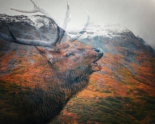 Majestic Stag and Mountain Landscape Wall Art