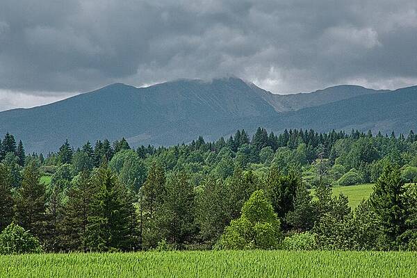Majestic Mountain Landscape with Forest Photograph