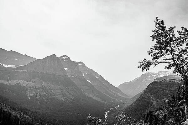 Majestic Mountain Valley in Black and White Wall Art