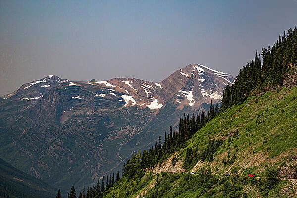 Majestic Mountain View with Forest Wall Art