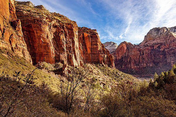 Desert Photograph - Majestic Mountains Of Zion by Craig A Walker