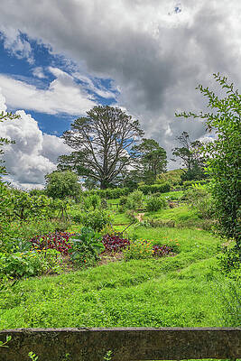 Greenery Photograph - Majestic New Zealand by Nova Rae
