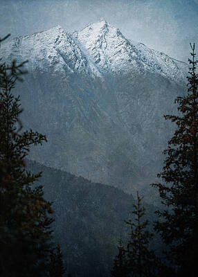 Serene Photograph - Majestic Snow-Capped Mountain Alaska by Dan Sproul