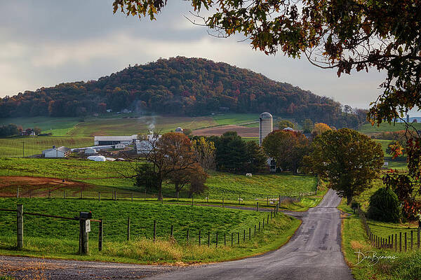 Mountain Photograph - Majestic View Road #7598 by Dan Beauvais
