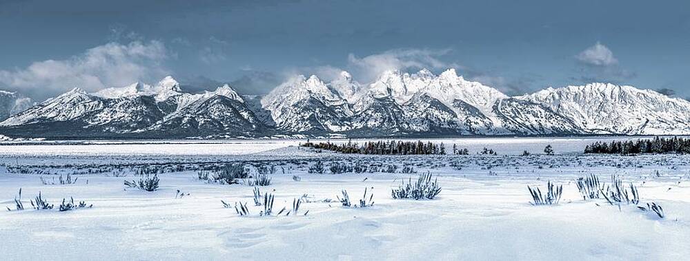 Natural Photograph - Majesty And Grandeur Of The Tetons by Marcy Wielfaert