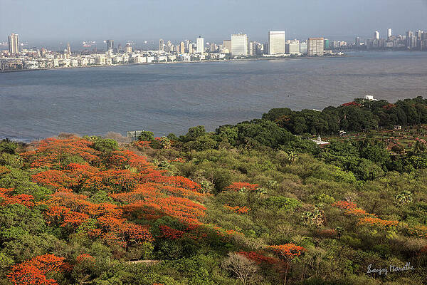 Landscape Wall Art featuring the photograph Malabar Hill Vista, Mumbai Landscape by Sanjay Marathe