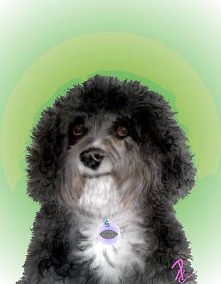 Mixed Media - Malcolm Poses by Pamela Calhoun