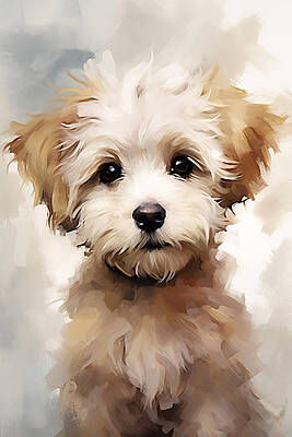 Portrait Painting - Maltese Puppy by Land of Dreams