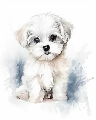 Portrait Painting - Maltese Puppy Portrait by Land of Dreams