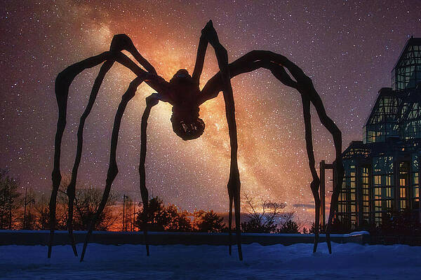 Winter Wall Art featuring the photograph Maman Spider On Starry Sky by Tatiana Travelways