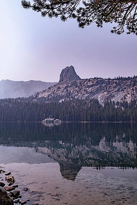 California Wall Art featuring the photograph Mammoth Lakes 5 by Cindy Robinson