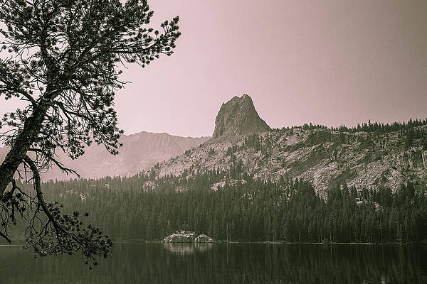 Serene Wall Art featuring the photograph Mammoth Lakes Basin 6 by Cindy Robinson