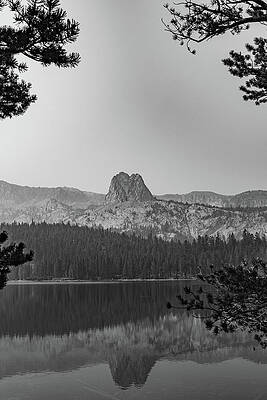 California Wall Art featuring the photograph Mammoth Lakes Basin 8 by Cindy Robinson