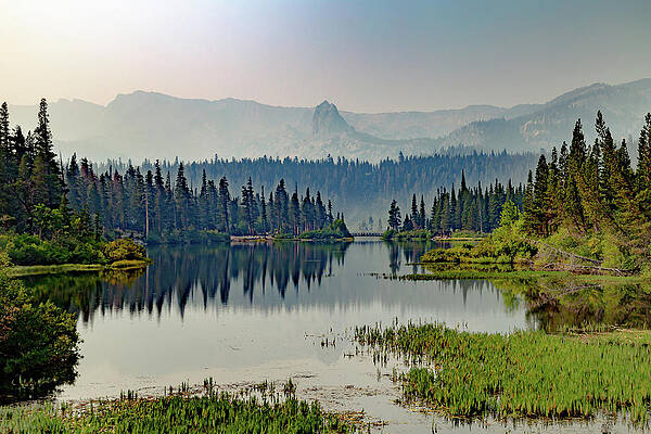 Serene Wall Art featuring the photograph Mammoth Lakes Basin by Cindy Robinson