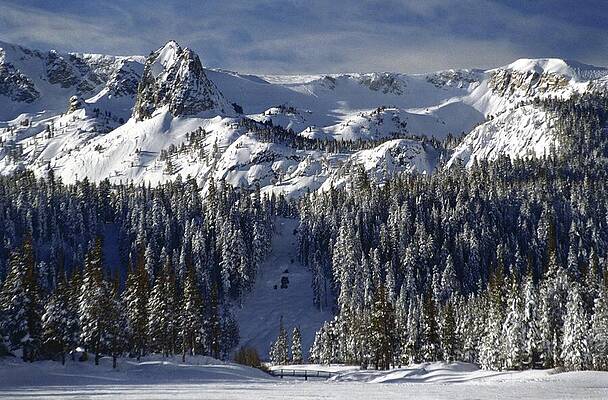 Tree Photograph - Crystal Crag -Tamarack Bridge - Winter Mammoth Lakes by Bonnie Colgan