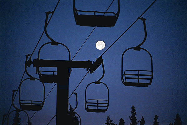 Tree Photograph - Moonlift - Old Chairlift #15 -  Mammoth Lakes by Bonnie Colgan