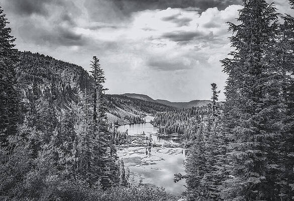 Wall Art featuring the photograph Mammoth Lakes Twin Lakes Scenic Black And White by Rebecca Herranen
