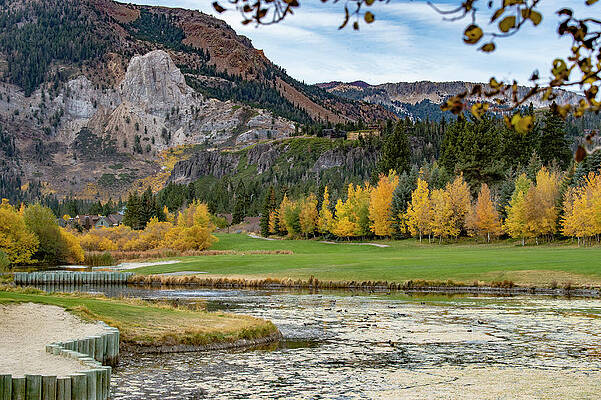 Tree Photograph - Mammoth Rock - A Fall Snowcreek Golf View by Bonnie Colgan