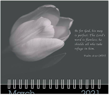 Inspirational Photograph - March 2021 Inspirational Calendar Preview by Joni Eskridge