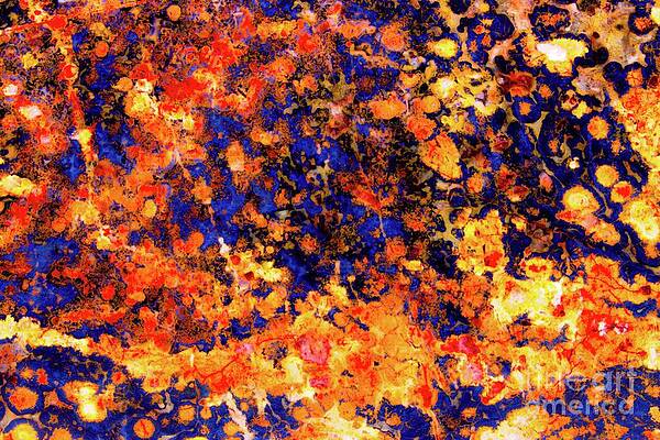 Abstract Photograph - Mardi Gras by Eric Kyle