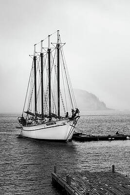 Maine Wall Art featuring the photograph Margaret Todd Getting Underway by Craig A Walker