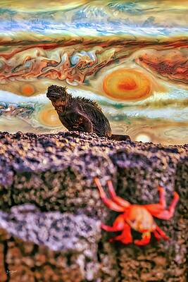 Abstract Photograph - Marine Iguana With Jupiter Sky by Bruce Block