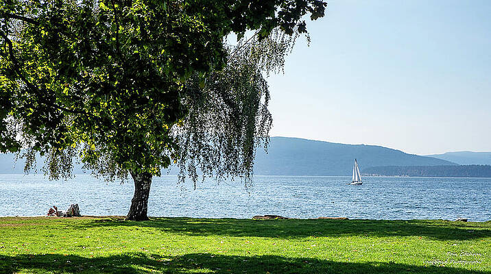 Tranquil Lakeside Scene Photograph