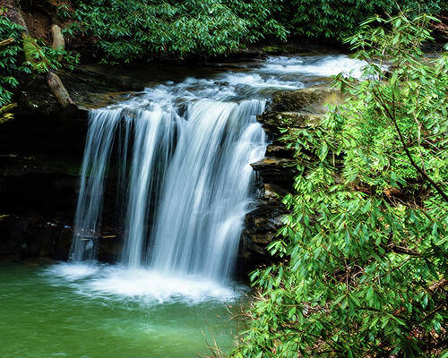 Wall Art featuring the photograph Marsh Fork Falls by Flees Photos